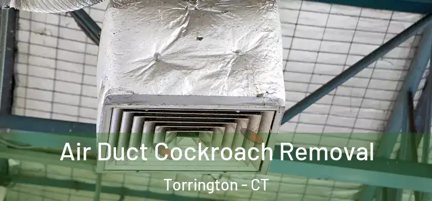  Air Duct Cockroach Removal Torrington - CT