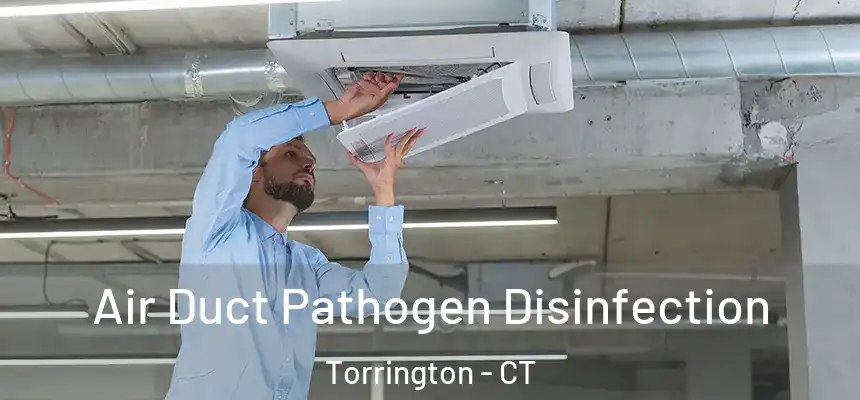 Air Duct Pathogen Disinfection Torrington - CT