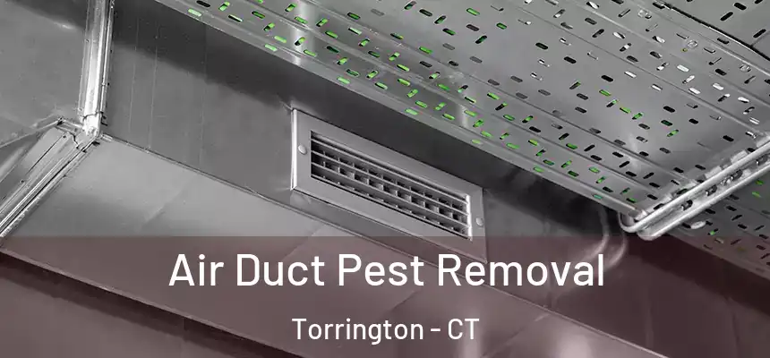 Air Duct Pest Removal Torrington - CT