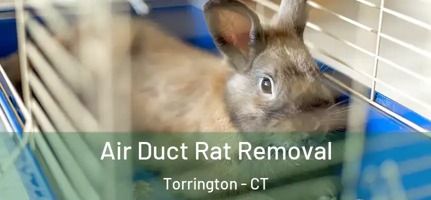  Air Duct Rat Removal Torrington - CT