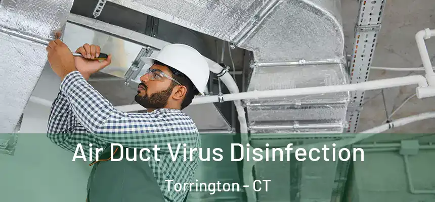 Air Duct Virus Disinfection Torrington - CT