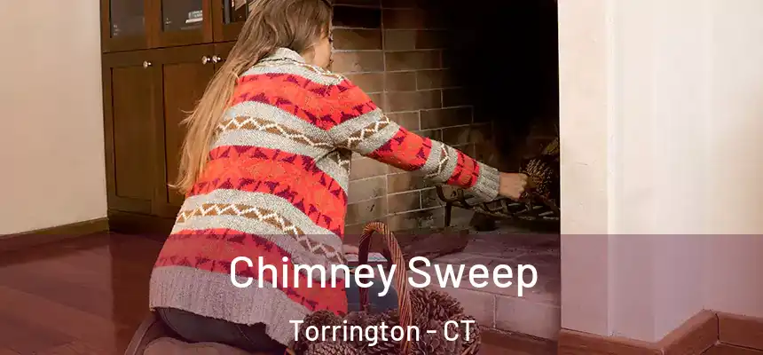  Chimney Sweep Torrington - CT