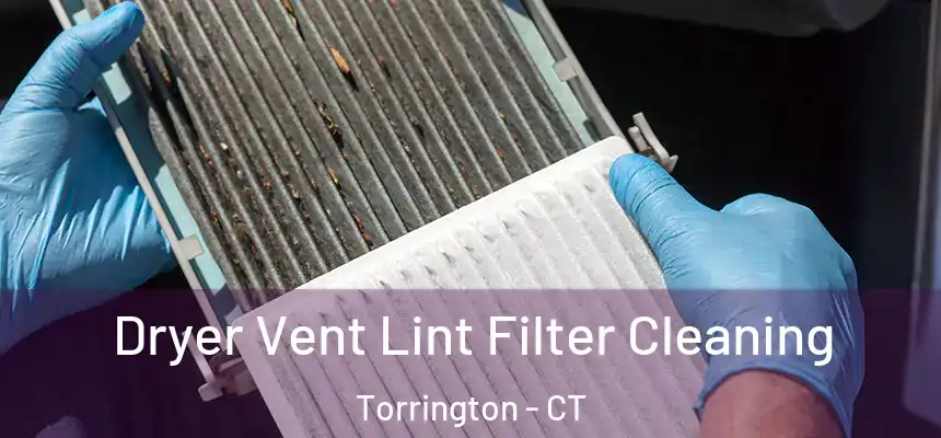  Dryer Vent Lint Filter Cleaning Torrington - CT