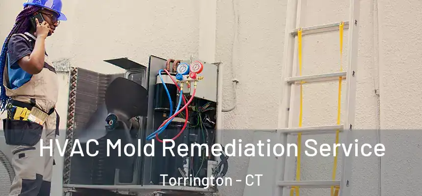  HVAC Mold Remediation Service Torrington - CT