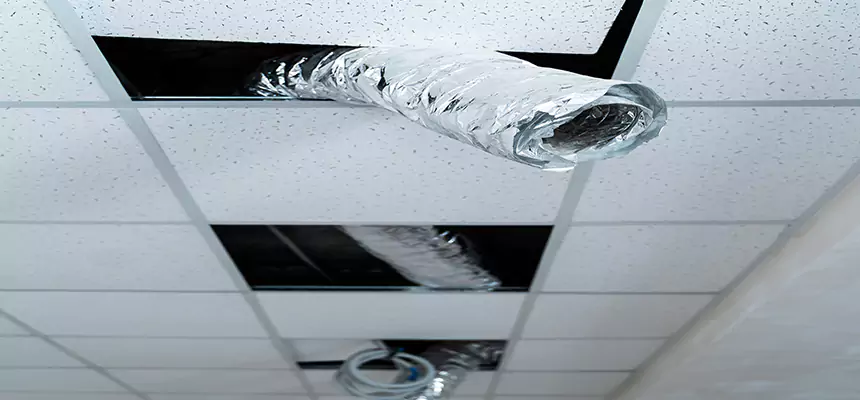 Our Air Duct Pet Hair Removal Services in Torrington, CT