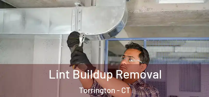  Lint Buildup Removal Torrington - CT