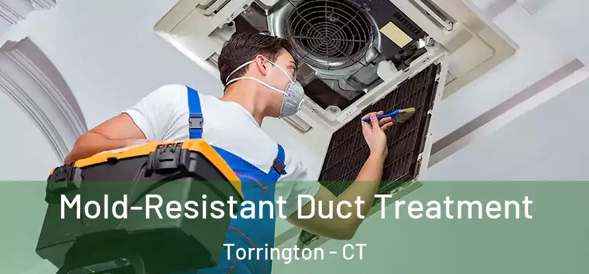 Mold-Resistant Duct Treatment Torrington - CT