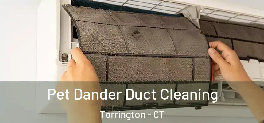Pet Dander Duct Cleaning Torrington - CT