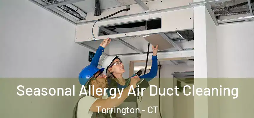  Seasonal Allergy Air Duct Cleaning Torrington - CT