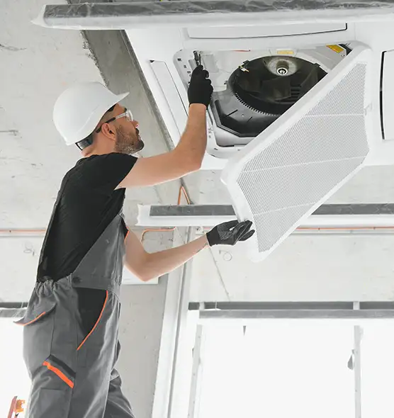 About Air Duct Rodent Removal in Torrington, CT