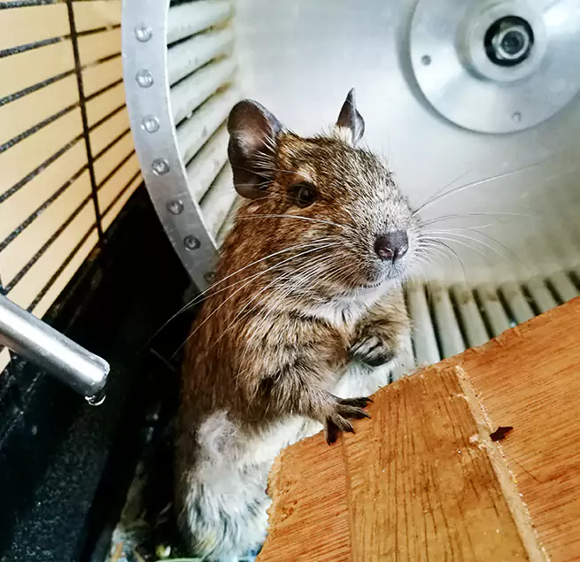 Why Homeowners & Businesses Trust Us Torrington, CT?